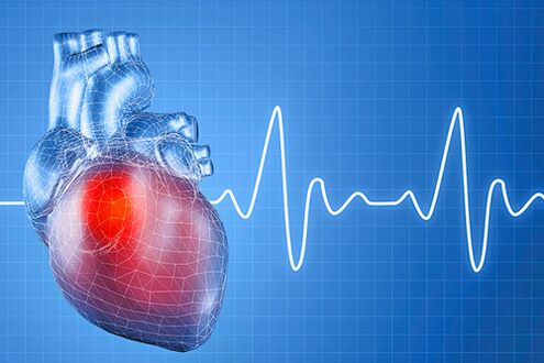 L’hypertension artérielle, qui a de nombreuses causes, entraîne des problèmes de fonction cardiaque. 